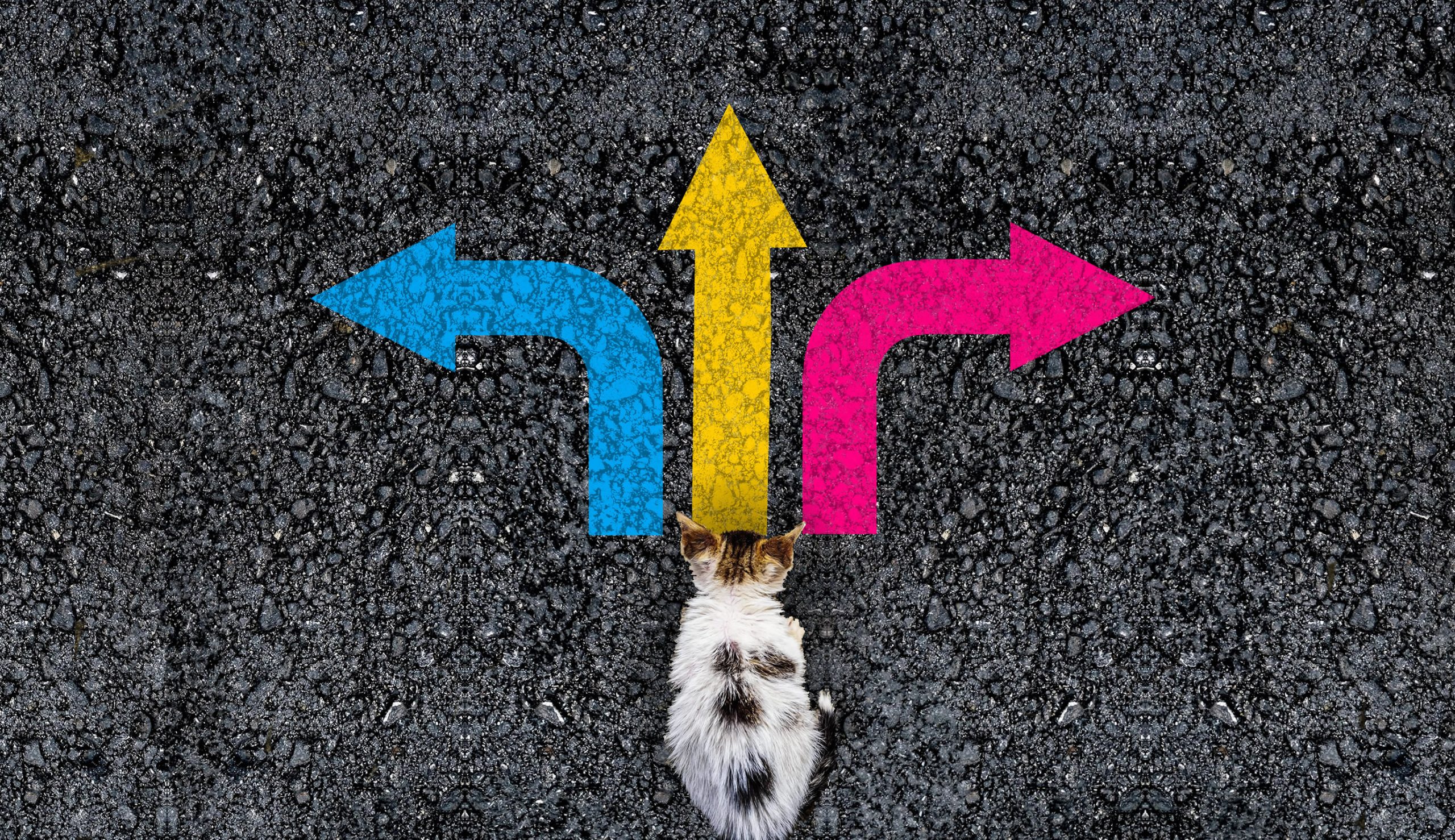 Should I buy an RTO or open one myself?